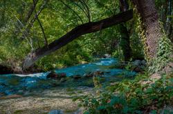 Clean Bungalov Tatil Koyu