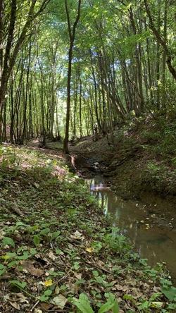 Narkoy Ecologic Hotel & Organic Farm