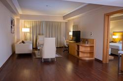 Anemon Grand Konya Otel