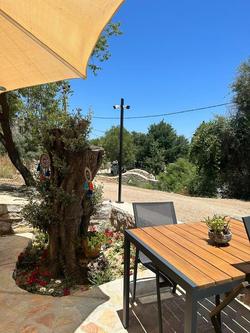 7011 Dadya Rooms
