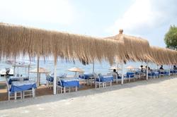 Taşev