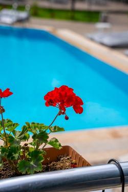 Grand Emir Hotel & Spa
