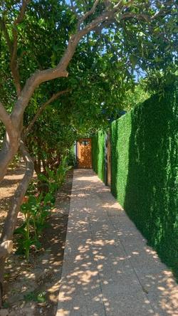 Orange Paradise