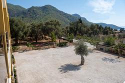 Olive Tree Apart Hotel