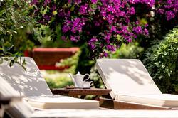 Luna Begonvil Taş Evler