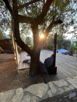 Palmira Bungalow & Camping