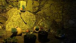 Palmira Bungalow & Camping