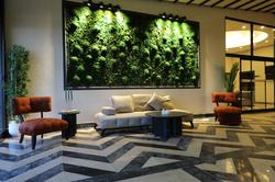 Roseira Mar-inn Luxury