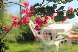 Urga Butik Otel & Restaurant