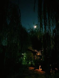 Yucca House Gokova