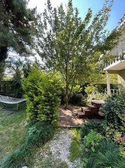 Sapanca Green Villa