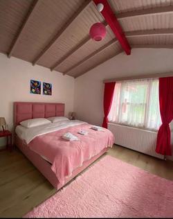 Sapanca Pink House