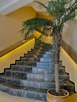 Azze Palace Otel