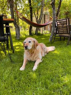 Miro Mara Butik Otel