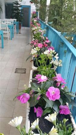 Adana City Butik Hotel