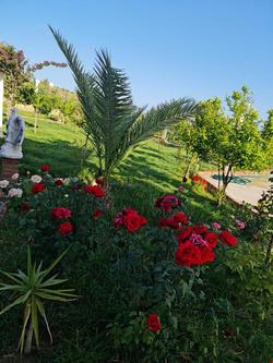Alanya İncekum Villa