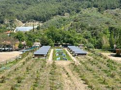 Dim Çayı Bungalows