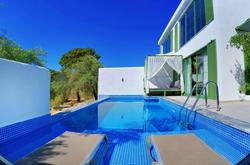 Villa Blueberry 1