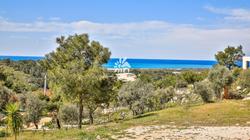 Villa Flower Patara