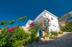 Villa Nar 1