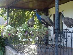 Hemerans Anatolia Hotel