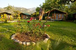 Etenna Bungalow Hotel