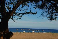 Kara Kedi Beach Bungalow