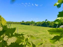 Ephesus Bungalow Apart Villa