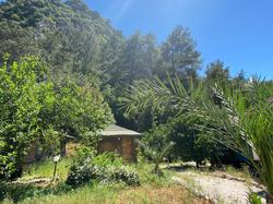 Maya Olympos (Adult Only +12)