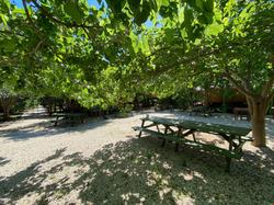Maya Olympos (Adult Only +12)