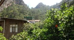 Olimpos Orange Pension