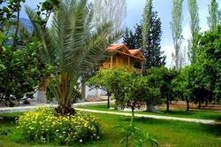 Portakal Bahçesi
