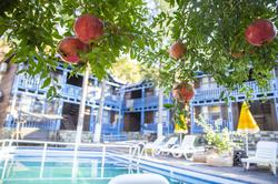 Olympos Hakan Pansiyon