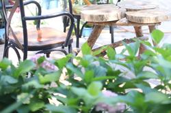Zebu Hotel Adrasan