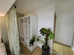 Alex Suites Lara