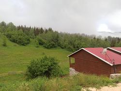 Danzot Tatil Koyu