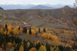 Black Forest Hotel