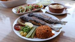 Agara Otel
