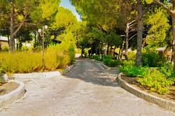 Elitium Thermal Hotel 2