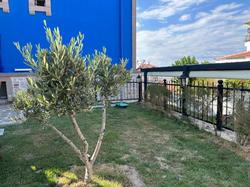 Şirin Garden Ayvalik