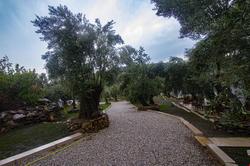 Yiva Kazdaglari