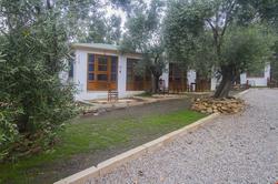 Yiva Kazdaglari