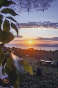 Loya Bungalow İznik