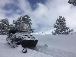 Zigana Gümüşkayak Yaylakent Hotel & Bungalow