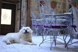 Çiçekli Konak Butik Otel