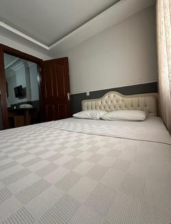 Diamond Palace Apart Hotel İskenderun