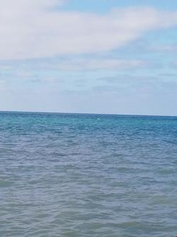 Sahil Pansiyon Hotel