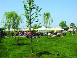 Riva's Club Butik Otel