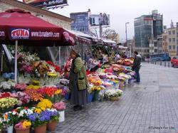 Taksim Lion 37 Studios