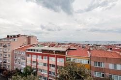 Rosehip | Fatih